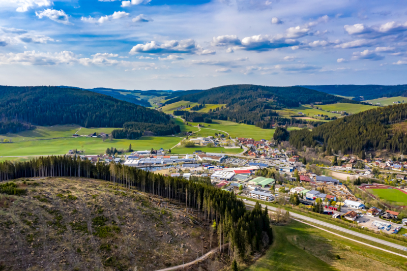 Partnersuche titisee neustadt